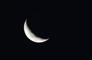 moon in the sky