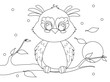 Cute cartoon owl sitting on a branch contour coloring page. Night.