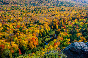 Wall Mural - Fall in the Porcupine Mountains