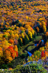 Wall Mural - Close-Up of the Porcupine Mountains on a fall day