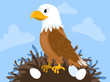 Cute brown eagle vector clipart background image.