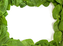 Frame Border From Fresh Spinach Leaves Isolated On A White Background, Copy Space, High Angle Top View From Above