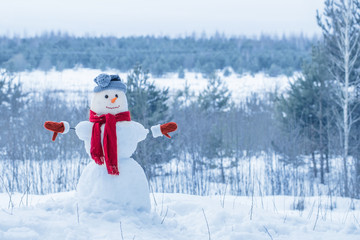 snowman in red scarf in forest