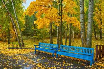 old wooden bench in city park.