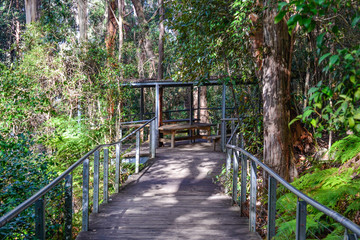 path of blue mountains tour in New South Wales in Australia