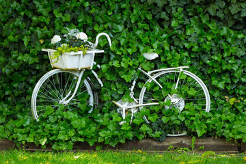 White vintage bicycle in garden setting