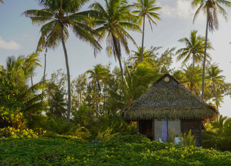 Wall Mural - A bungalow with a thatched roof sits among palm trees and tropical vegeatation on an island in French Polynesia