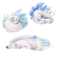 Watercolor Illustration With Polar Bears.