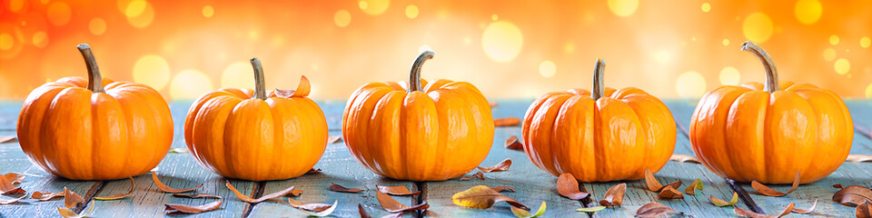 Wall Mural - thanksgiving/autumn - banner of mini pumpkins on blue wooden table with orange bokeh background