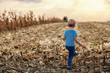 © Dusan Petkovic - Rear view of cute little farmer boy standing on corn field, playing and looking harvester. In background is harvester harvesting. Back lit.