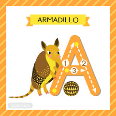 Wall Mural - Letter A uppercase tracing. Armadillo