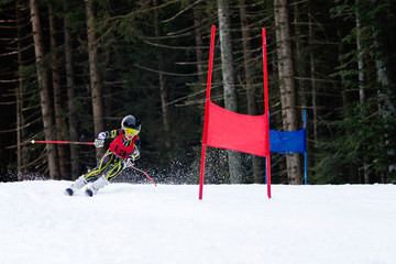 Young boy wearing a catsuit and ski racing through gates in the snow