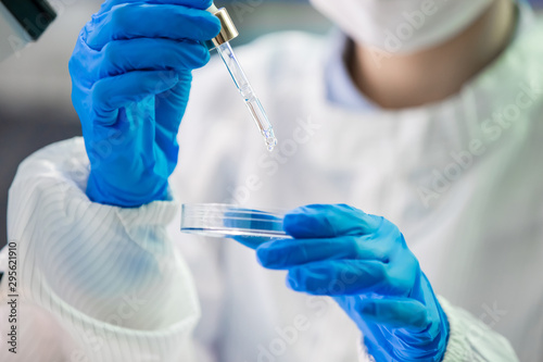 Fotomural asian scientist take petri dish