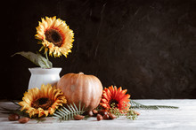 Autumn Still Life With Pumpkin, Sunflowers On A Vase, Orange Flowers And Nuts Front View. Autumn Concept With Pumpkins And Flowers Copy Space Design.