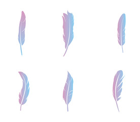 Wall Mural - feathers set colorful for your design. logo template