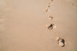 Footsteps on the sand beach background