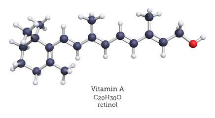 vitamin a is a precursor of retinal, a key molecule in the chemistry of vision