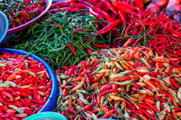 Chilli that is placed in the tray for sale on the market have used several kinds of spicy cooking Songkhla Thailand 