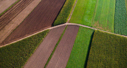 Poster - Agricultural Fields From Aerial Drone View. Colorful Pattern