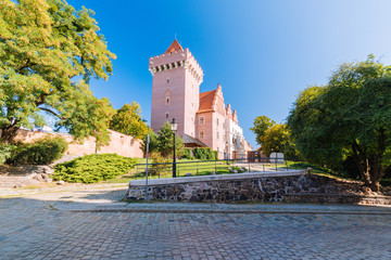 Wall Mural - Poznan, castle tower and historic architecture