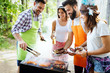 © NDABCREATIVITY - Friends having fun in nature doing bbq