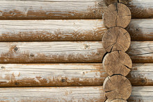Log Wall. Light Wooden Wall. Environmentally Friendly House. Wooden Blockhouse. Wood Fibers. Logs. Fresh Wood Wall. Log Cut. Rustic Wooden Cabin. Tree Knots. Hardwood. Copy Space. Wood Texture