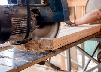 Wall Mural - Modern sawmill. A carpenter works on woodworking the machine tool.