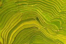 Aerial Top View Of Paddy Rice Terraces, Green Agricultural Fields In Countryside Or Rural Area Of Mu Cang Chai, Yen Bai, Mountain Hills Valley At Sunset In Asia, Vietnam. Nature Landscape Background.