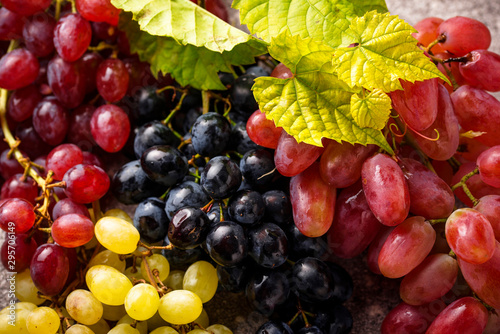 Dekoracja na wymiar  asortyment-roznych-rodzajow-winogron
