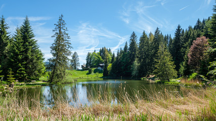 lac des jons, a small idyllic mountain lake near montreux in switzerland