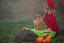 Little Girl Sitting With Pumpkins Free Stock Photo - Public Domain Pictures