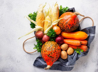 Wall Mural - Various autumn vegetables. Harvest concept