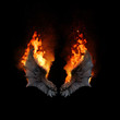 Burning dragon wings, dark atmospheric mood, fantasy background
