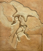 Fossil Imprint Of Archaeopteryx Showing Bones And Feathers.