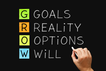 Wall Mural - GROW Goals Reality Options Will Concept
