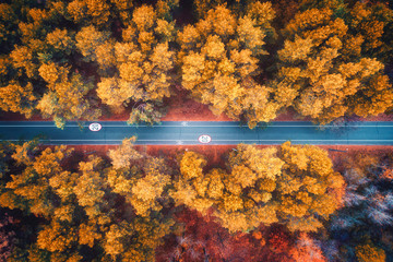 Aerial view of road in beautiful autumn forest at sunset. Colorful landscape with empty rural road, trees with red, yellow and orange leaves. Highway. Top view. Autumn colors.  Nature. Fall woods