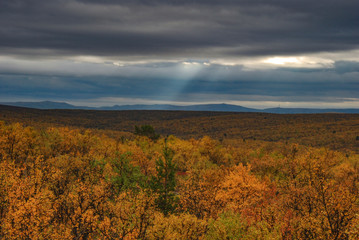 Scenery of mountain s and autumn forests of Finnmark, Norway 