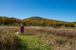 © bhamms - woman with dog enjoying the fall colors in the North country NY