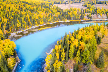 Wall Mural - kanas landscape in autumn, picturesque