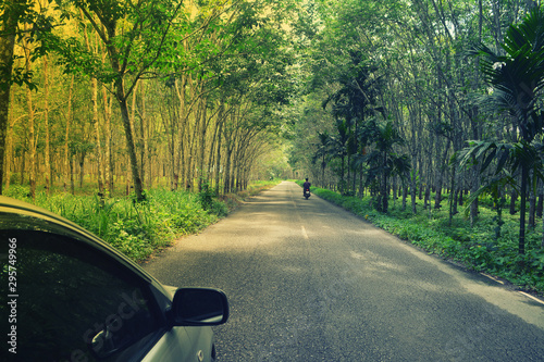 Fotomural car and motocycle travel on green rubber plantation pathway in