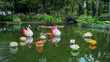 decorations on a pond in the botanic gardens in hong kong