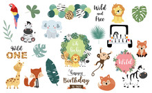 Safari Object Set With Fox,giraffe,zebra,lion,leaves,elephant. Illustration For Logo,sticker,postcard,birthday Invitation.Editable Element