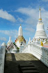 bridge to coming in buddhist temple, in thailand 