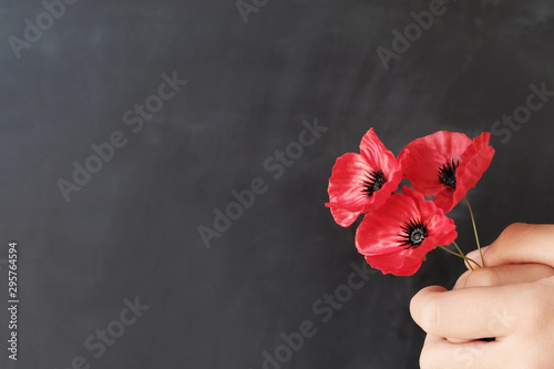 Fototapeta Hand holding red poppy flowers, remembrance day, Veterans day, Anzac day, lest we forget concept
