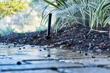 Fertilized garden plants being watered by a vertical sprinkler head as seen from ground level with wet brick pavers in the foreground.