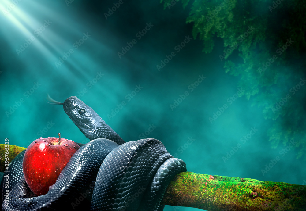 Black snake with an apple fruit in a branch of a tree - obrazy, fototapety, plakaty 
