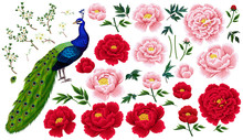 Peonies,plums Branches And Peacock In Chinese Style