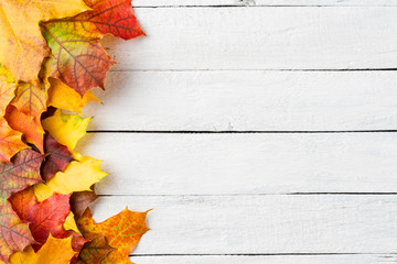 Wall Mural - Colourful autumn leaves on white wooden background with copyspace. Fall concept. Top view