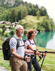 Sticker - Senior pensioner couple with nordic walking poles hiking in nature, talking.