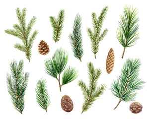 Christmas vector set with green pine branches and cones.
